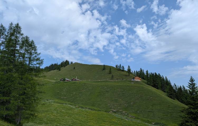 pxl_20250614_075953075.jpg pxl_20250614_075953075.jpg