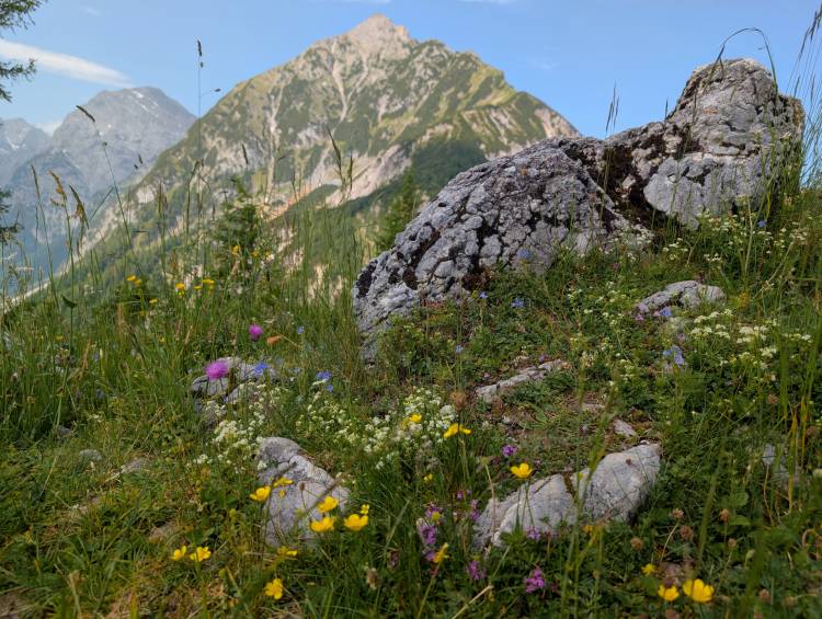 pxl_20250614_082728799.jpg pxl_20250614_082728799.jpg