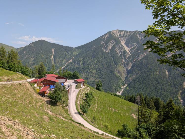 pxl_20250614_085059115.jpg pxl_20250614_085059115.jpg