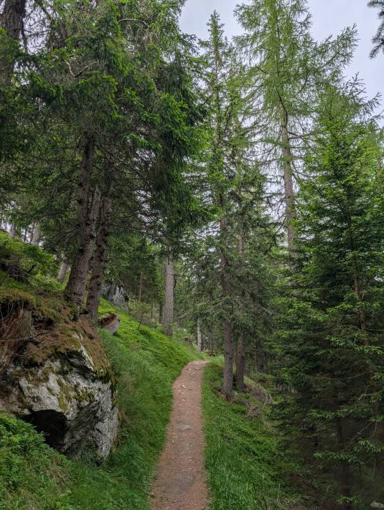 pxl_20250617_062207736.jpg pxl_20250617_062207736.jpg