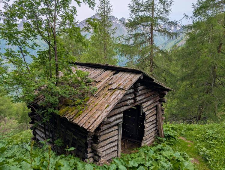 pxl_20250617_072614512.jpg pxl_20250617_072614512.jpg