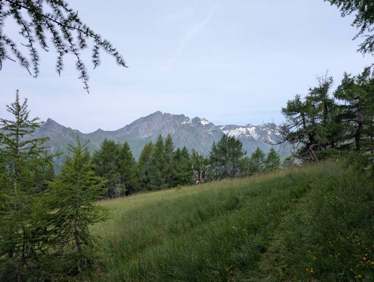 pxl_20250617_074040949.jpg pxl_20250617_074040949.jpg