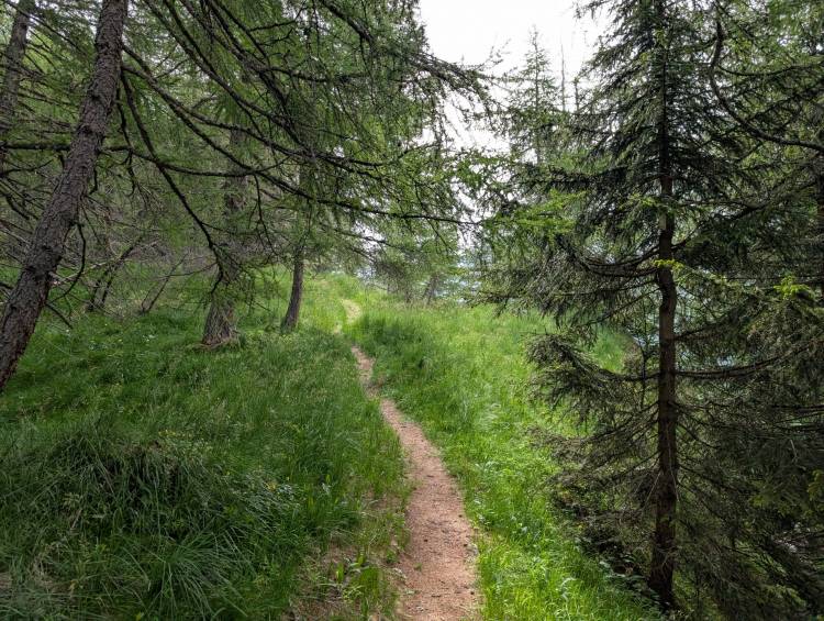 pxl_20250617_074315887.jpg pxl_20250617_074315887.jpg