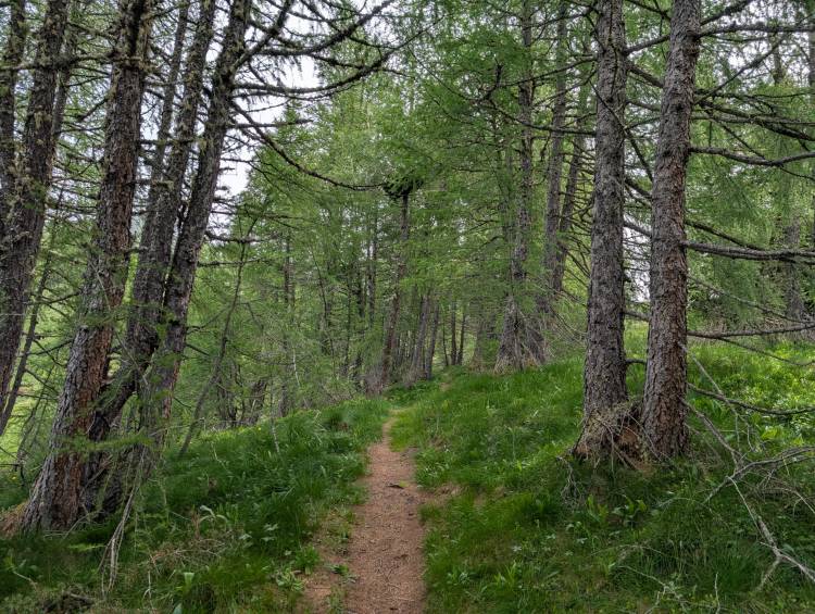 pxl_20250617_075013728.jpg pxl_20250617_075013728.jpg