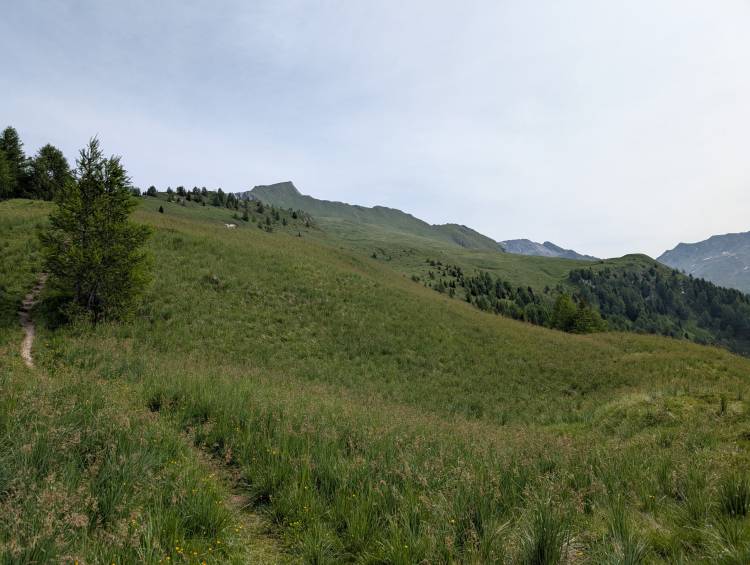 pxl_20250617_075242657.jpg pxl_20250617_075242657.jpg