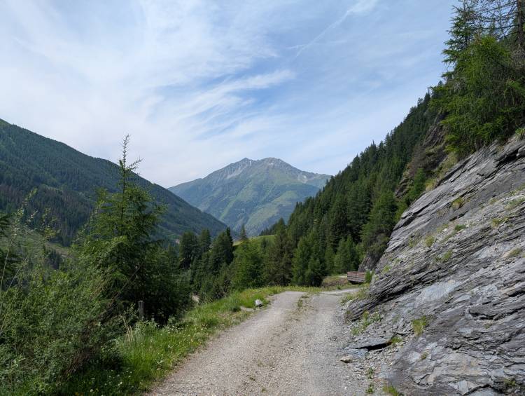 pxl_20250617_095920445.jpg pxl_20250617_095920445.jpg