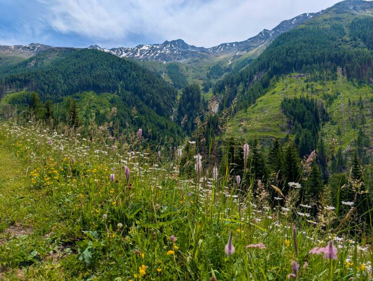 pxl_20250617_101322257.jpg pxl_20250617_101322257.jpg