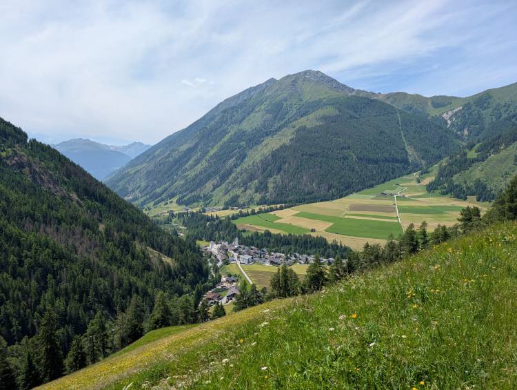 pxl_20250617_104544725.jpg pxl_20250617_104544725.jpg