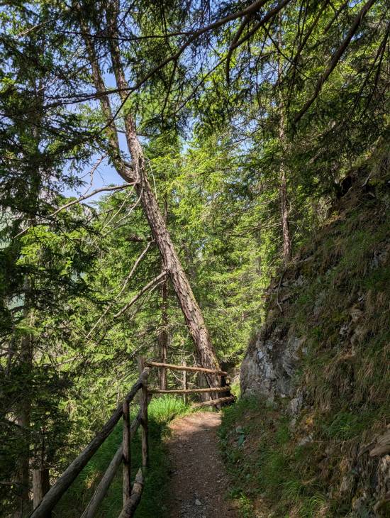 pxl_20250617_110028410.jpg pxl_20250617_110028410.jpg