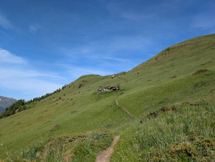 pxl_20250618_070859494.jpg pxl_20250618_070859494.jpg