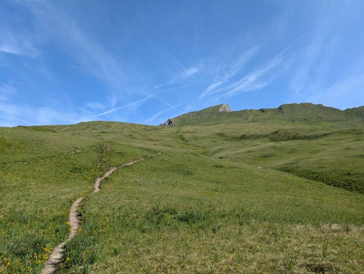 pxl_20250618_072608305.jpg pxl_20250618_072608305.jpg