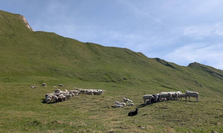 pxl_20250618_080601565.mp.jpg pxl_20250618_080601565.mp.jpg