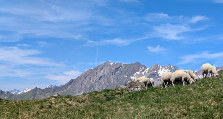 pxl_20250618_094914065.jpg pxl_20250618_094914065.jpg