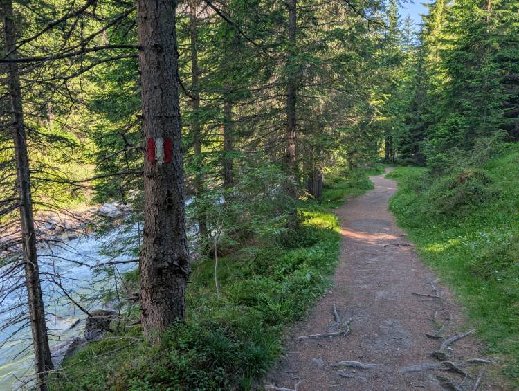 pxl_20250619_072400354.jpg pxl_20250619_072400354.jpg