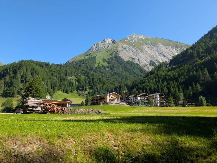 pxl_20250619_073100749.jpg pxl_20250619_073100749.jpg