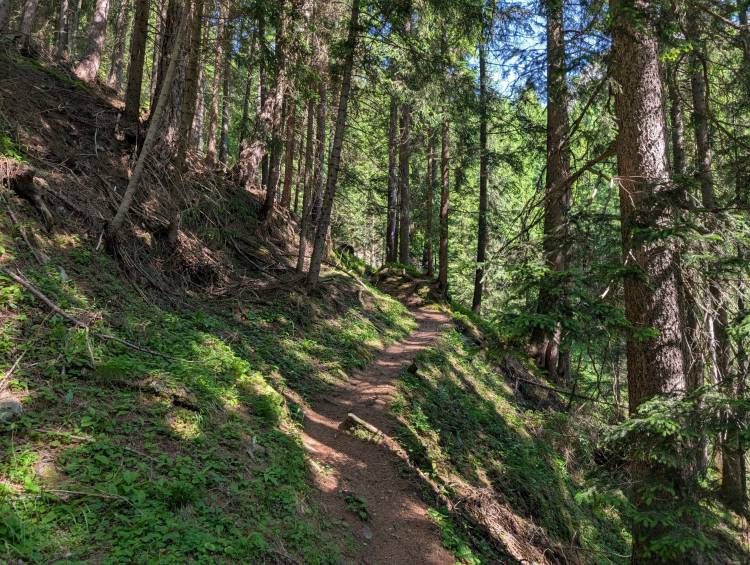 pxl_20250619_075011727.jpg pxl_20250619_075011727.jpg