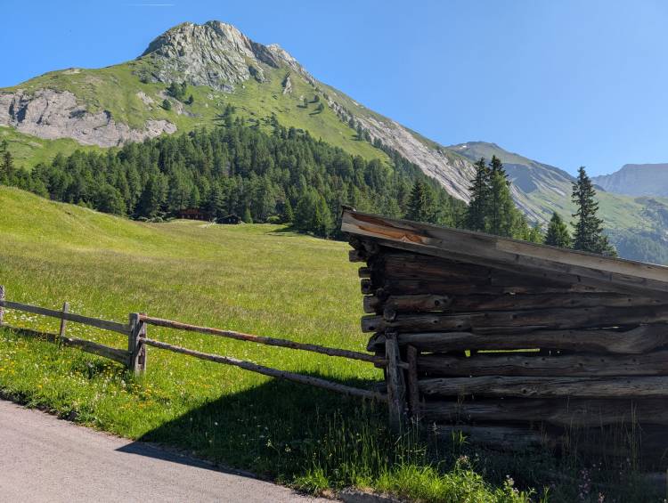 pxl_20250619_081251480.jpg pxl_20250619_081251480.jpg