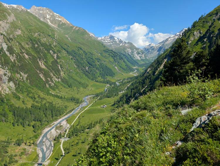 pxl_20250619_083114260.jpg pxl_20250619_083114260.jpg