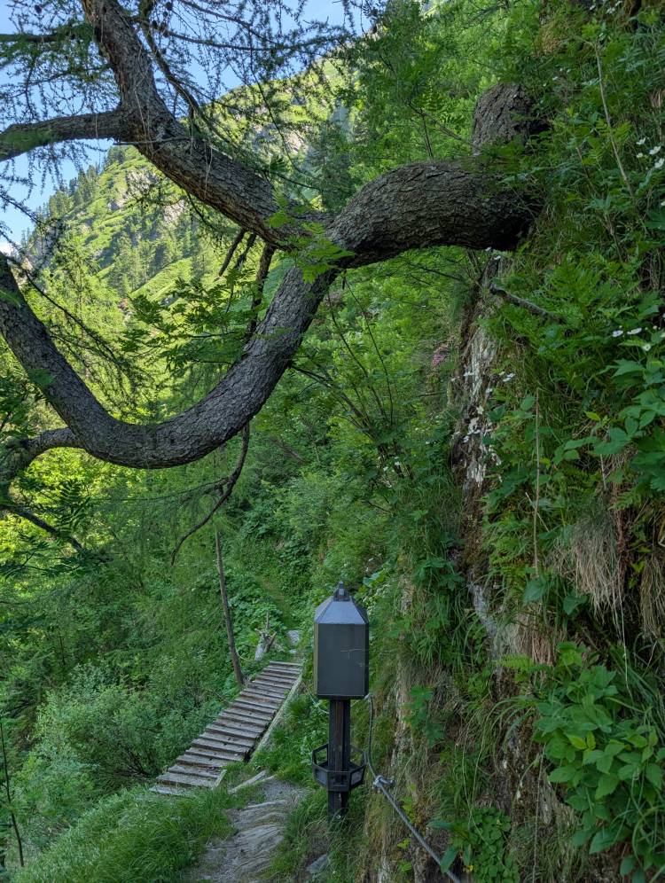 pxl_20250619_084833175.mp.jpg pxl_20250619_084833175.mp.jpg