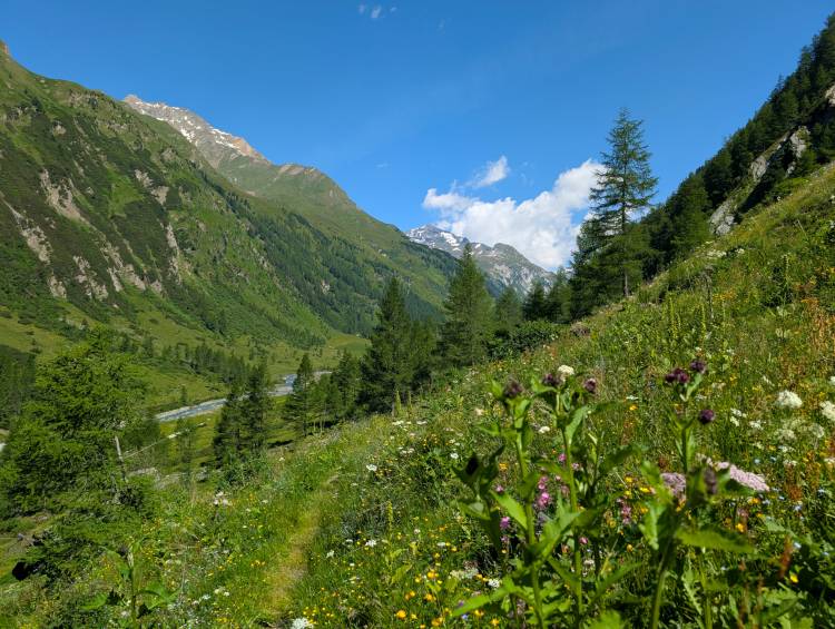 pxl_20250619_085706468.jpg pxl_20250619_085706468.jpg