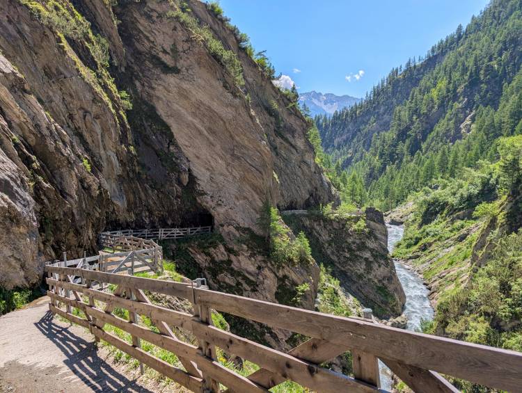 pxl_20250619_103129402.jpg pxl_20250619_103129402.jpg