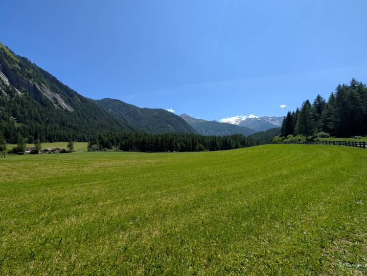 pxl_20250619_104947669.jpg pxl_20250619_104947669.jpg