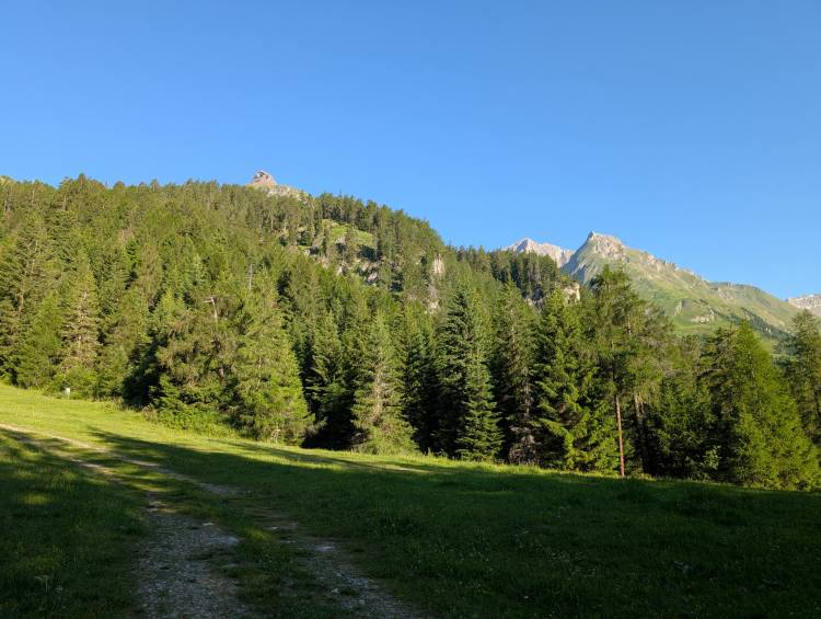 pxl_20250620_052949296.jpg pxl_20250620_052949296.jpg