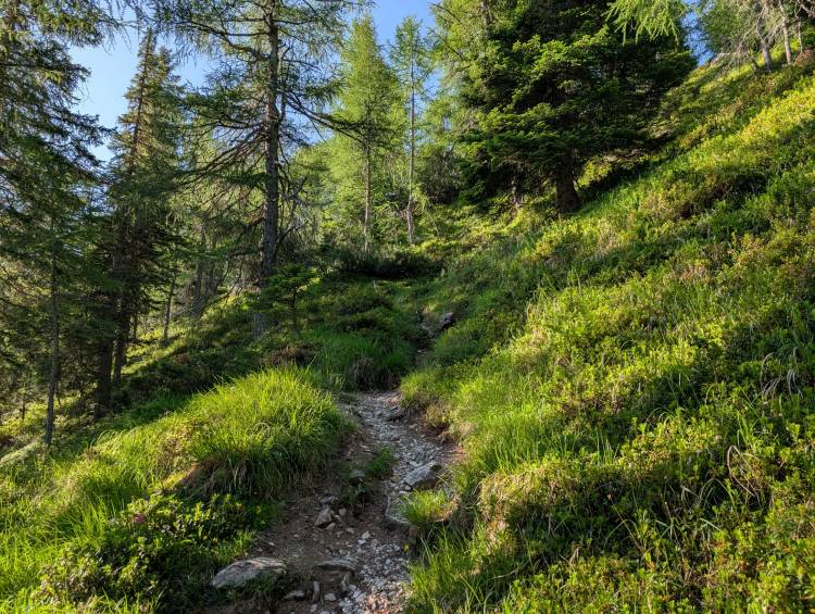 pxl_20250620_054345220.jpg pxl_20250620_054345220.jpg