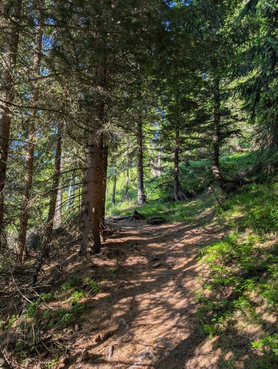 pxl_20250620_055713312.jpg pxl_20250620_055713312.jpg