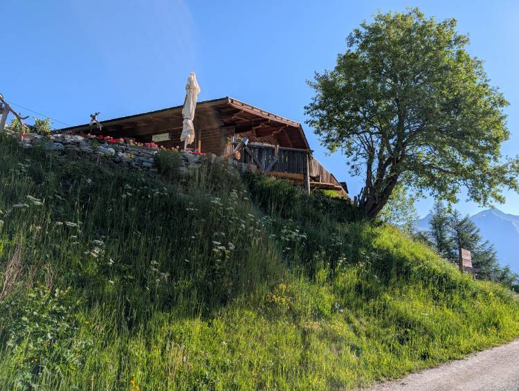 pxl_20250620_062539281.jpg pxl_20250620_062539281.jpg