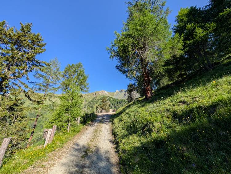 pxl_20250620_063303141.jpg pxl_20250620_063303141.jpg