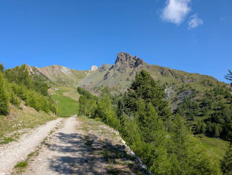 pxl_20250620_065119650.jpg pxl_20250620_065119650.jpg