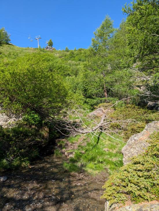 pxl_20250620_065951698.jpg pxl_20250620_065951698.jpg