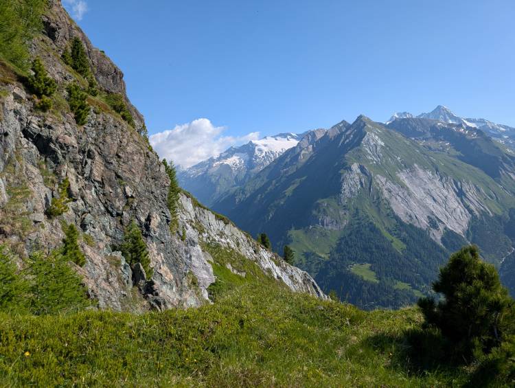 pxl_20250620_072624238.jpg pxl_20250620_072624238.jpg