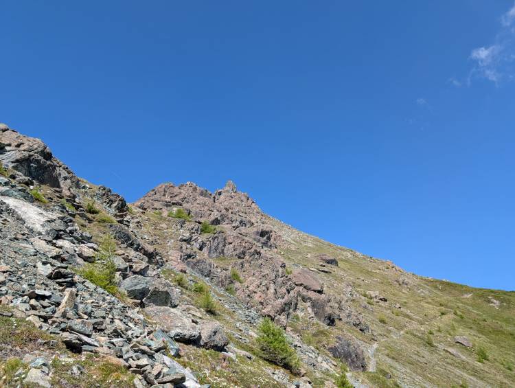 pxl_20250620_074626357.mp.jpg pxl_20250620_074626357.mp.jpg