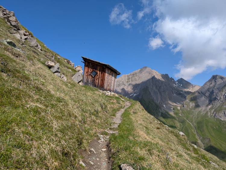 pxl_20250620_081117024.jpg pxl_20250620_081117024.jpg