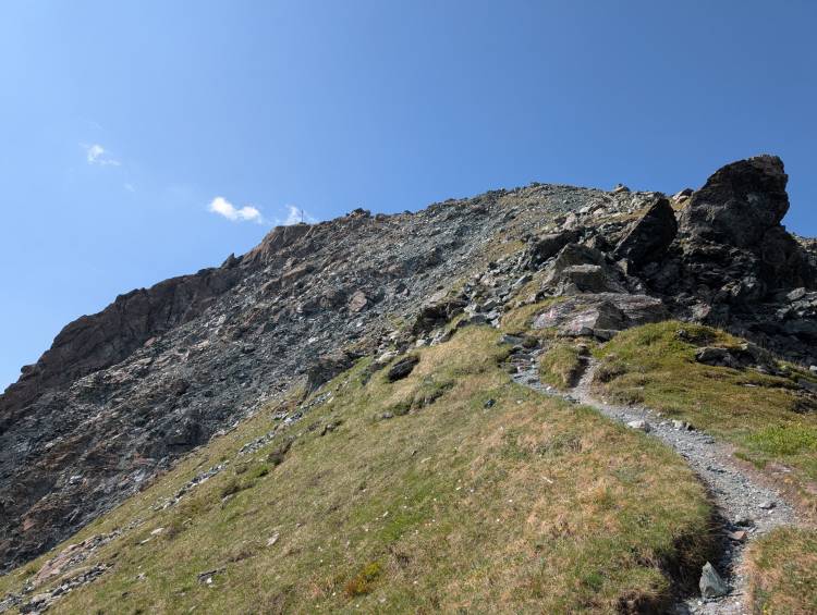 pxl_20250620_081733831.jpg pxl_20250620_081733831.jpg