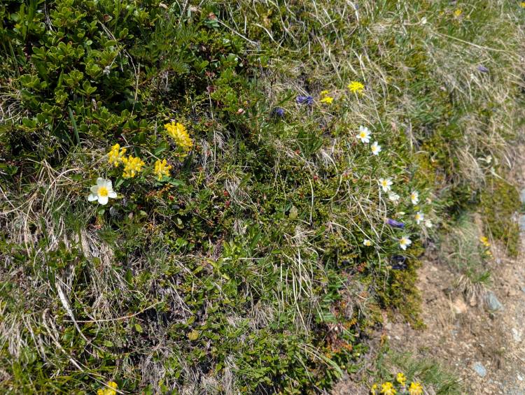 pxl_20250620_092827236.jpg pxl_20250620_092827236.jpg