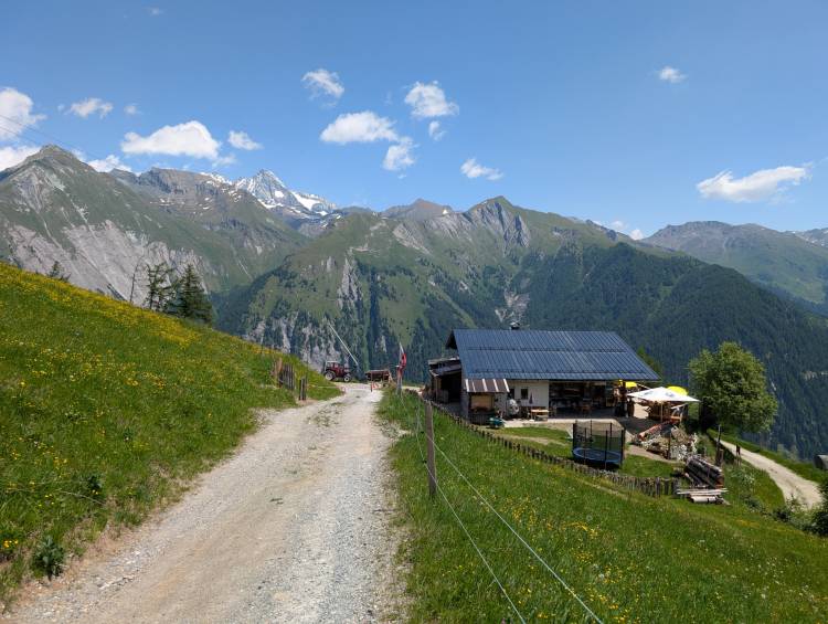 pxl_20250620_101706205.jpg pxl_20250620_101706205.jpg