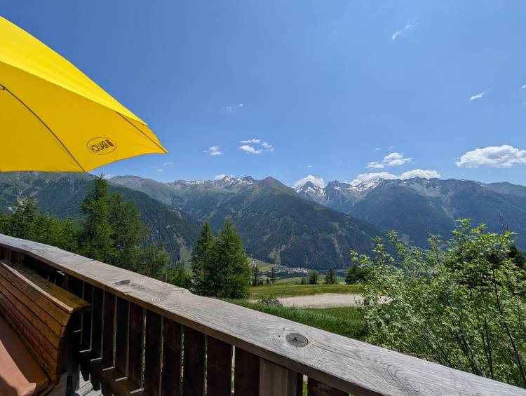 pxl_20250620_110854895.jpg pxl_20250620_110854895.jpg