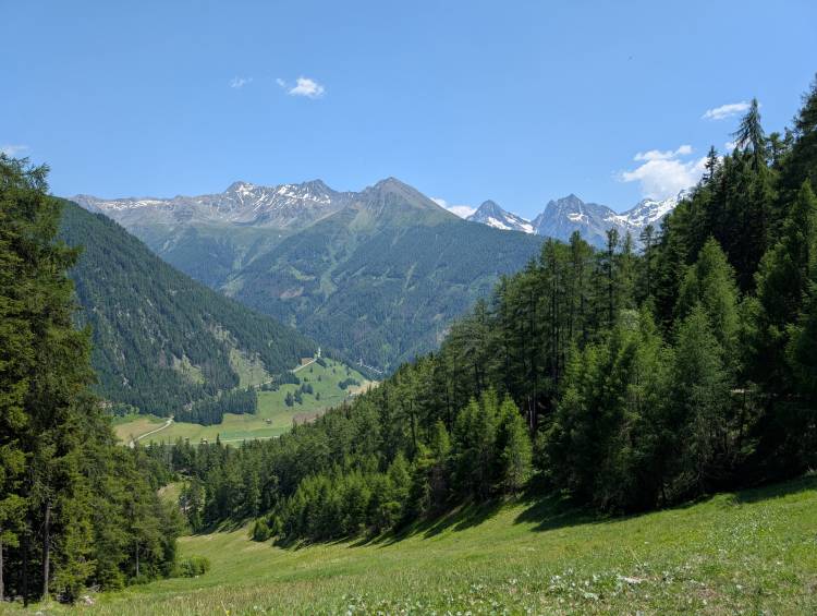 pxl_20250620_113945376.jpg pxl_20250620_113945376.jpg