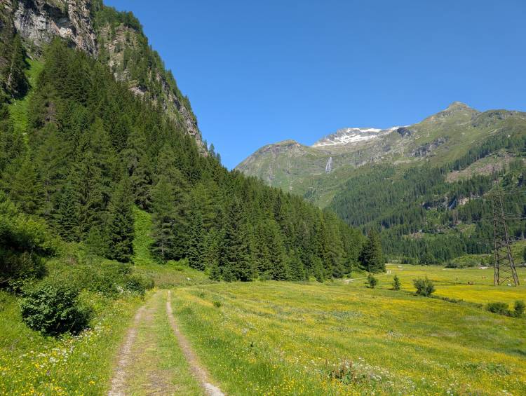 pxl_20250621_080052186.jpg pxl_20250621_080052186.jpg