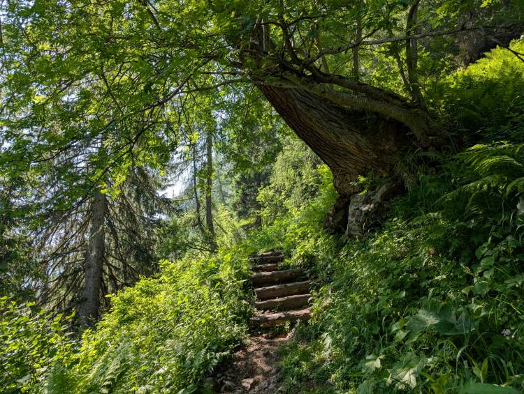 pxl_20250621_081817510.jpg pxl_20250621_081817510.jpg