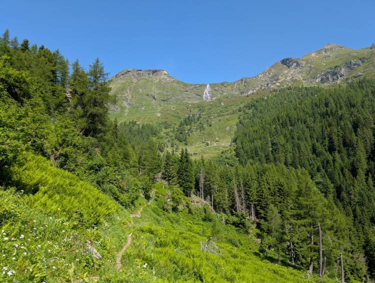 pxl_20250621_082638093.jpg pxl_20250621_082638093.jpg