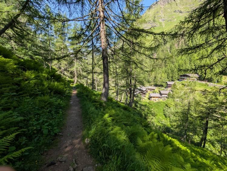 pxl_20250621_084032817.jpg pxl_20250621_084032817.jpg