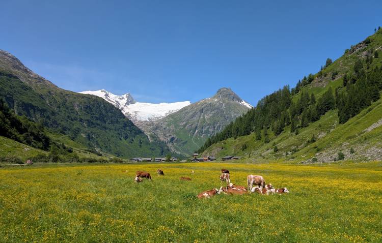 pxl_20250621_090454021.jpg pxl_20250621_090454021.jpg