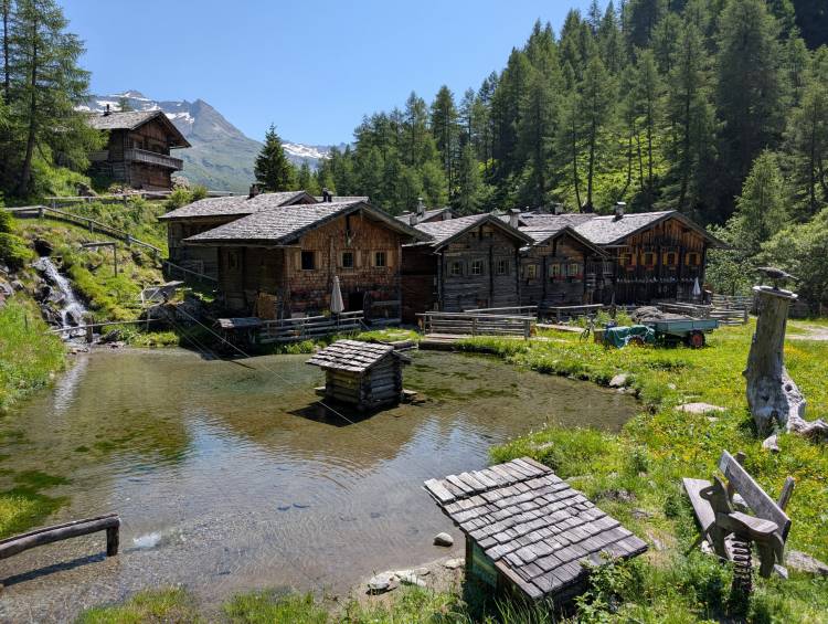 pxl_20250621_095855594.mp.jpg pxl_20250621_095855594.mp.jpg