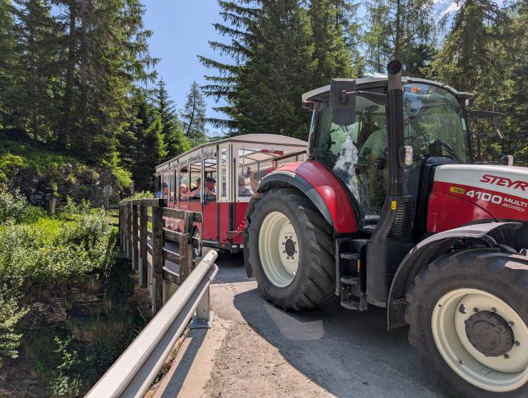 pxl_20250621_101100467.jpg pxl_20250621_101100467.jpg