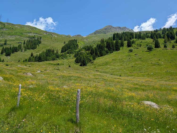 pxl_20250621_102719332.mp.jpg pxl_20250621_102719332.mp.jpg