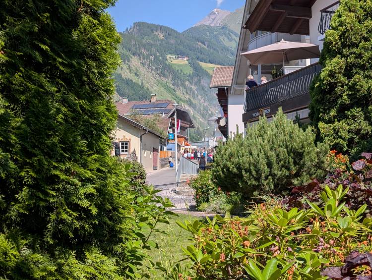 pxl_20250622_080925836.jpg pxl_20250622_080925836.jpg